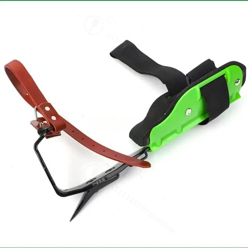 강철 녹색 플라스틱 나무 등반용 수직 등반화 등산가용  - Shoe Tree 리뷰 및 가격